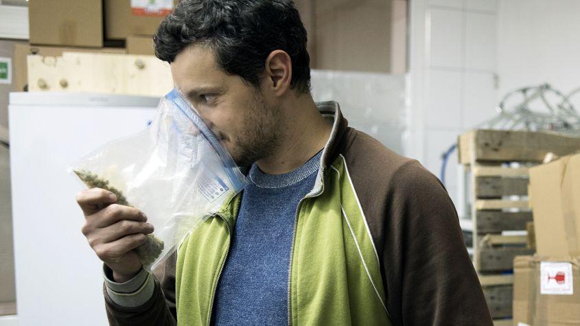 Aroma amăruie a hameiului aduce cu gustul de grapefruit