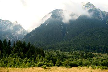 "Vedere dinspre nord a Pietrei Craiului. Toamna se vede superb amestecul dintre foioasele din vale și coniferele dinspre creastă", spune Daniel, istoric de artă.