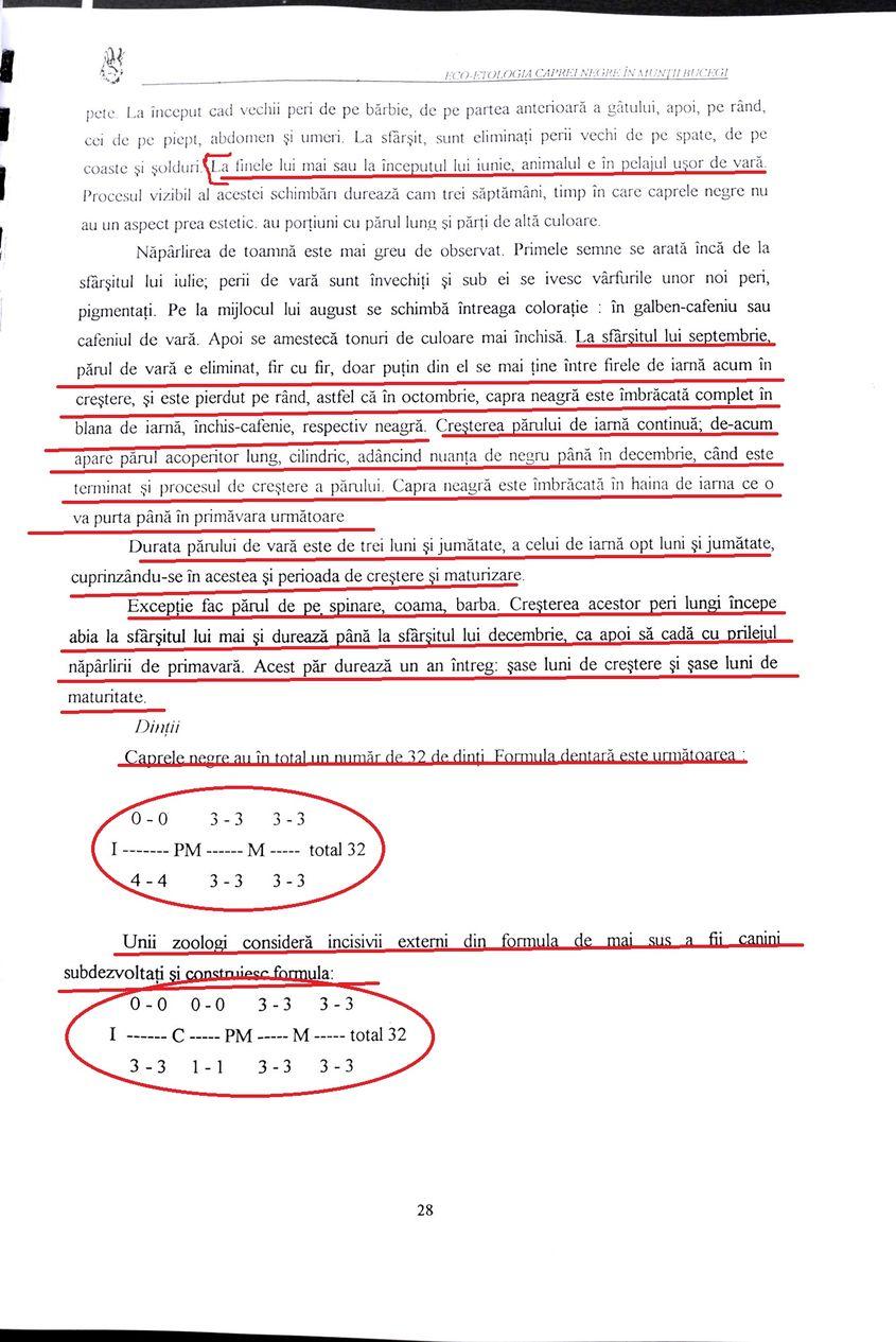 Pagina 28 din lucrarea „incipientă”.