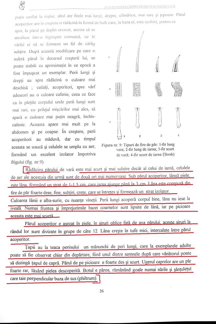 Pagina 26 din lucrarea „incipientă” a lui Ionescu.