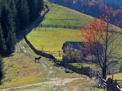 Sucevița – Moldovița. Meditație și transpirație între două mănăstiri.