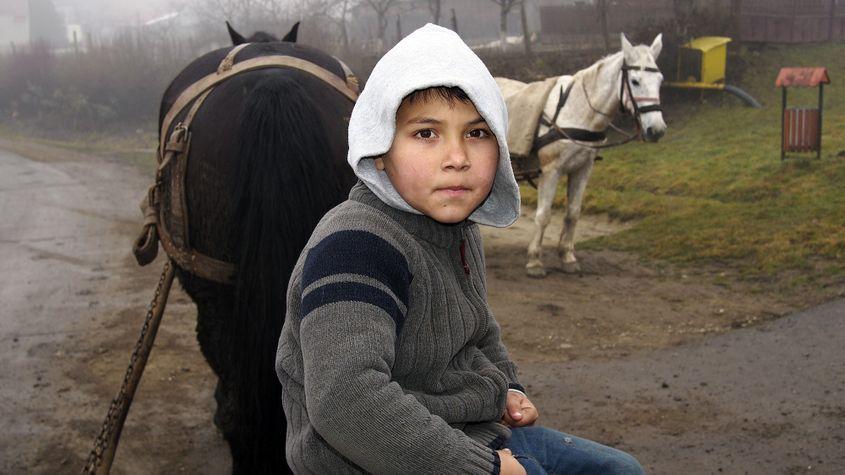 Unul dintre cei patru copii ai familiei Becichi din Sânmihaiu își așteaptă cadoul. Foto: Voicu Bojan.