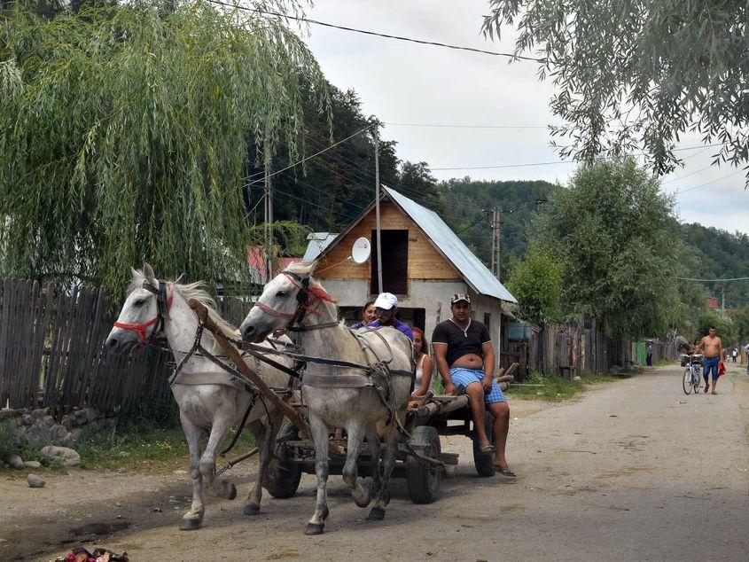 În cătunul Gămăceşti locuieşte o treime din populaţia comunei Berevoeşti. Fotografii: Lucian Muntean