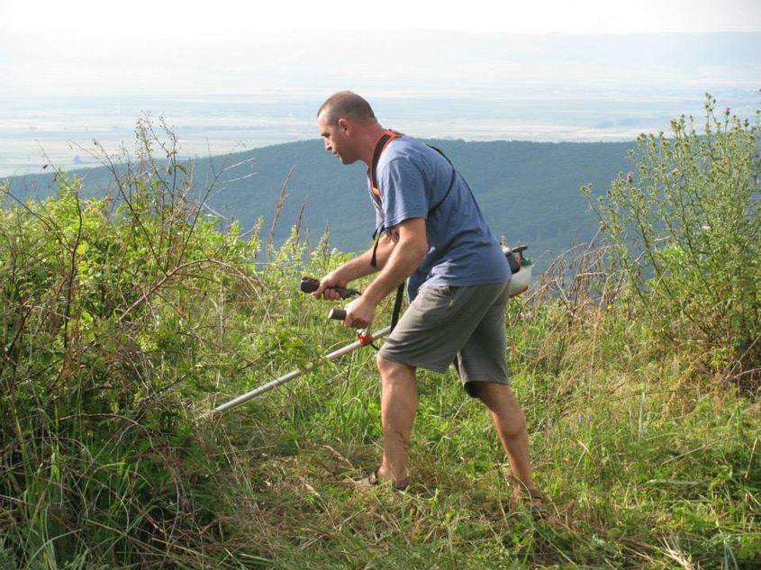Pregătirea terenului pentru săpături la Cetatea Zânelor. Foto: Pagina de Facebook a Vioricăi Crișan (c)