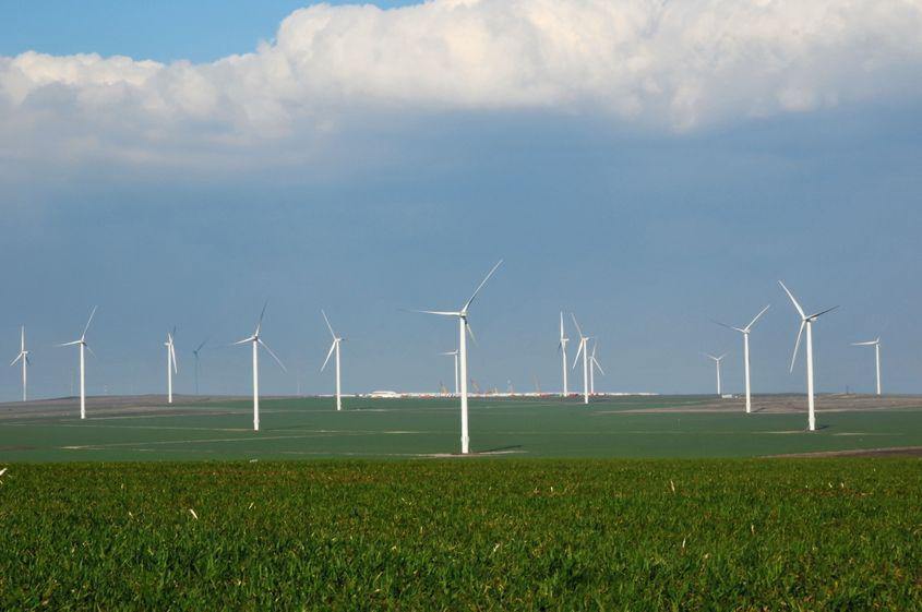 Eoliene pe un câmp în România. Foto © Petrina Calabalic | Dreamstime.com