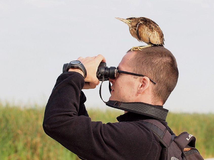 Poza cu Vlad Cioflec care a făcut deliciul pasionaților de birdwatching. Foto: Cristian Mihai