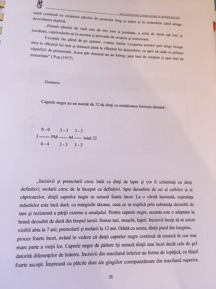 Pagina 28 din teza „finală”.