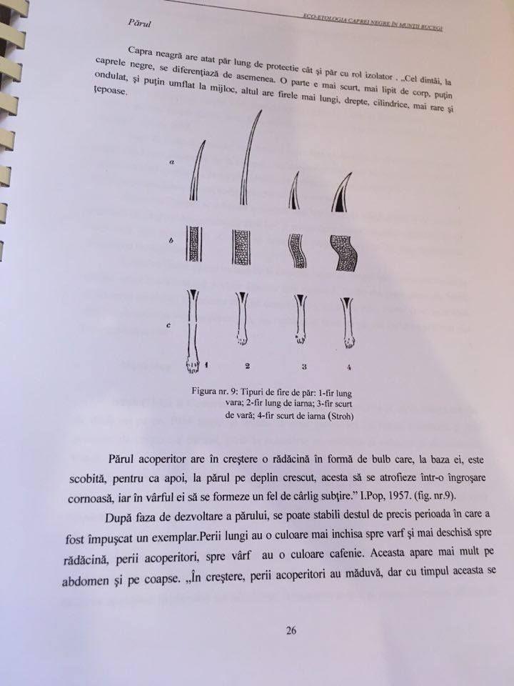 Pagina 26 din teza „finală”.