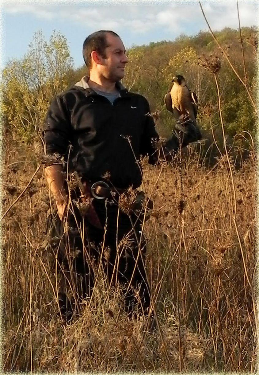 Biologul Dorin Cărăbeț cu un șoim călător (Falco peregrinus), de la care este inspirat și numele organizației sale. Foto: Arhiva personală