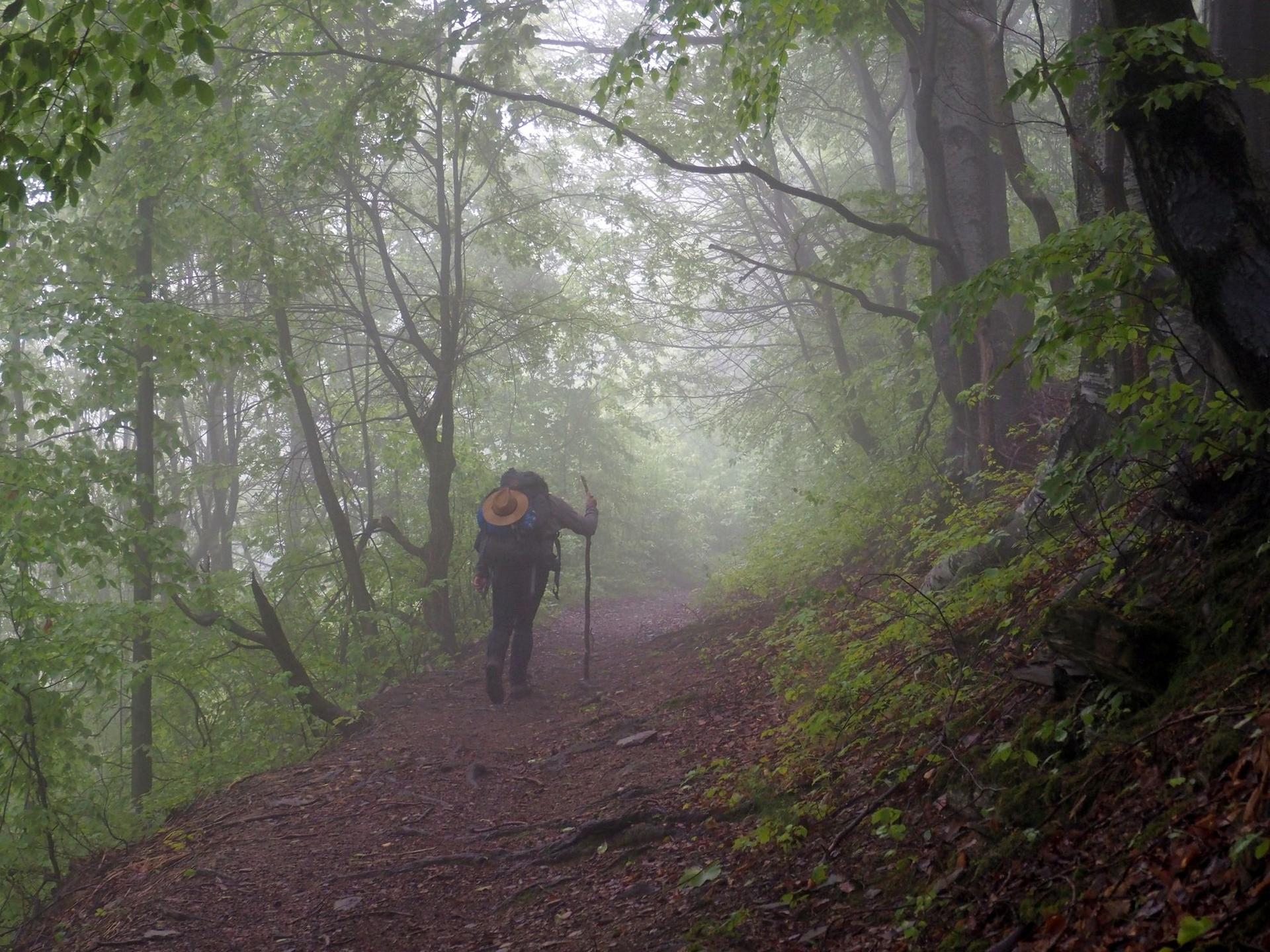 Demult, pe vremea când nu știam pe unde va duce calea, dar o căutam asiduu