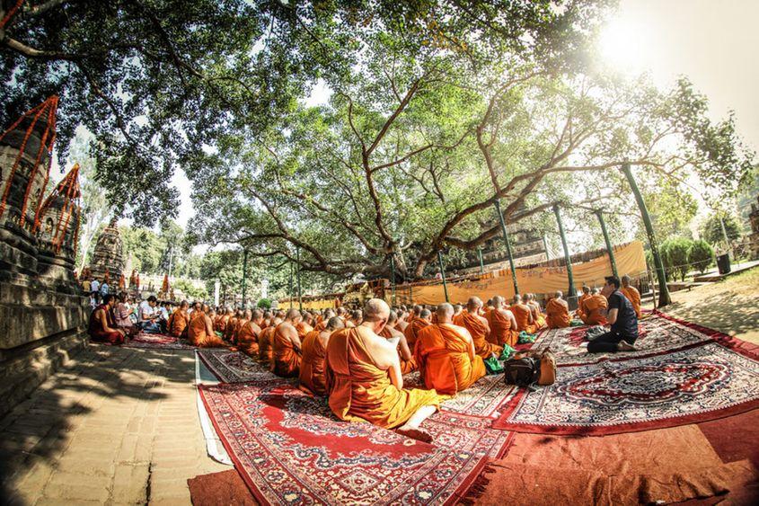 Copacul Bodhi, sub care Buddha a stat în timpul iluminării sale. Foto: Ioana Brănişteanu