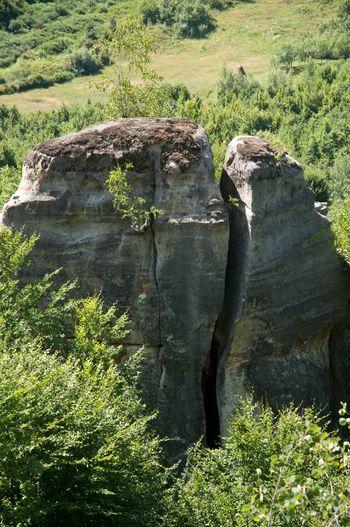 De-a lungul timpului, fisurile prin care a pătruns apa din precipitații și din topirea zăpezilor s-au lărgit, despicând blocurile mari de conglomerate.