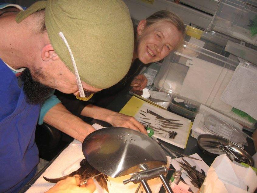 Christiane Haupt, lângă Alexandru Stahl, la o operație de transplant de pene efectuată la Frankfurt. Foto: Inițiativa „Drepneaua Neagră” România