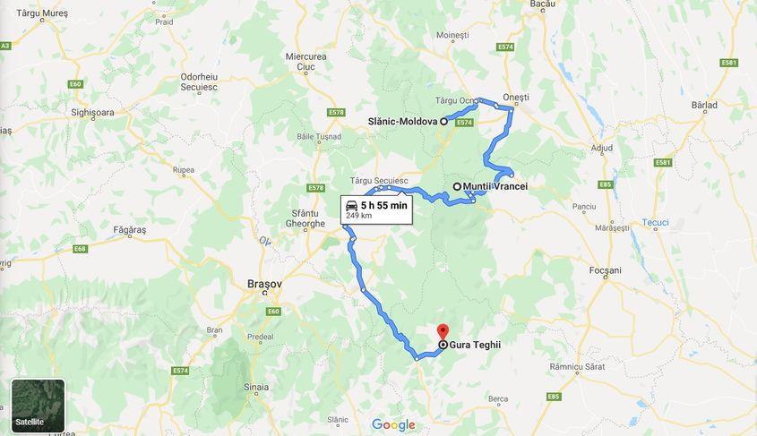 Un urs dintre cei monitorizați de APM Vrancea a parcurs peste 250 de kilometri, în căutarea hranei și a locului pentru bârlog. 