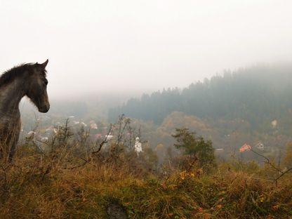 Roșia Montană: s-a schimbat ceva?