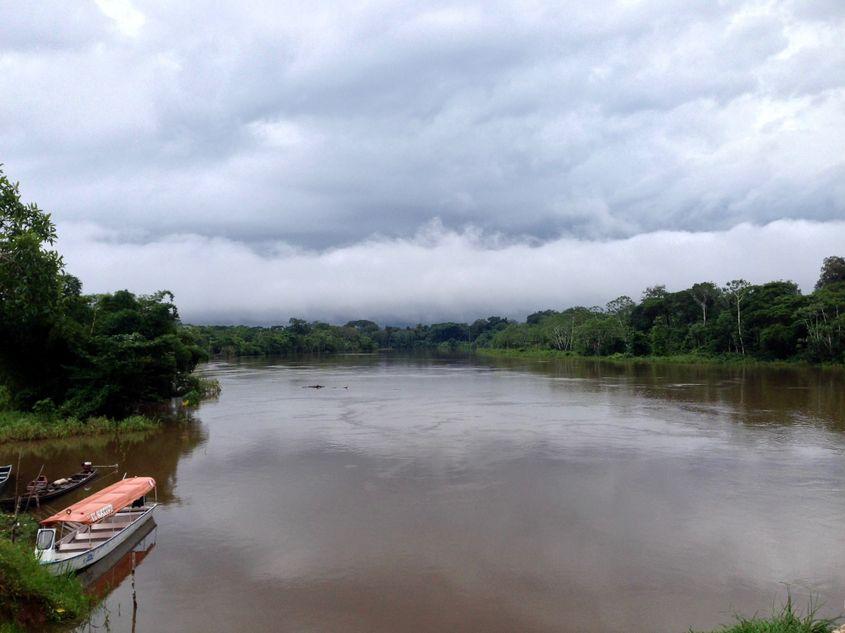 Nori deasupra Amazoniei, Râul Yavarí, Perú, 2017