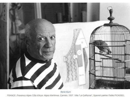 René Burri și obsesia de a-l fotografia pe Picasso