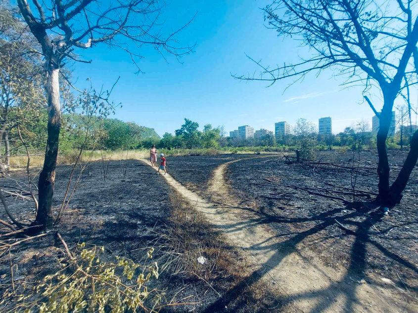 Urmările unui incendiu premeditat din zona retrocedastă a Parcului IOR. Foto: PressOne/2023