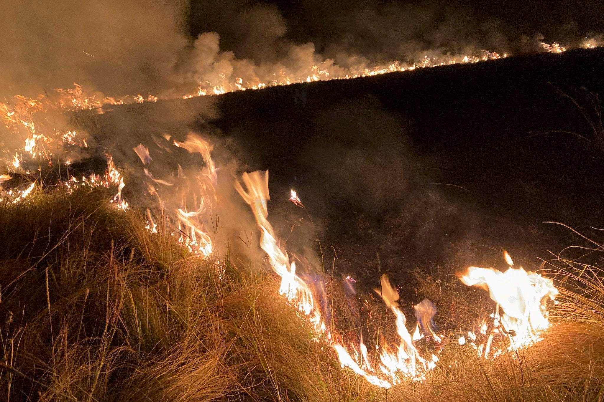 Pompieri intervin pentru stingerea unui incendiu de vegetație la Moldovenești, județul Cluj, 20 septembrie 2020. Inquam Photos / Mircea Rosca