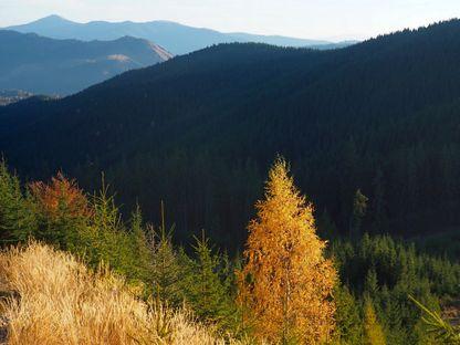 Via Transilvanica. Bucovina – spiritualitate, tradiții, plus o mare diferență de nivel