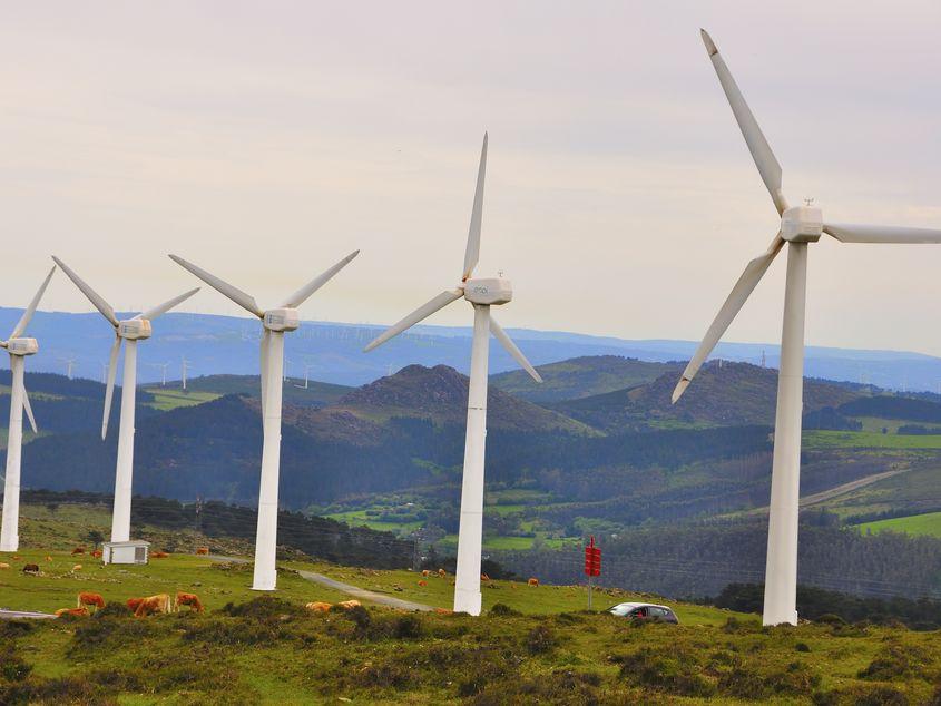 Wind farm in Brăila Photo: Sssanchez | Dreamstime.com
