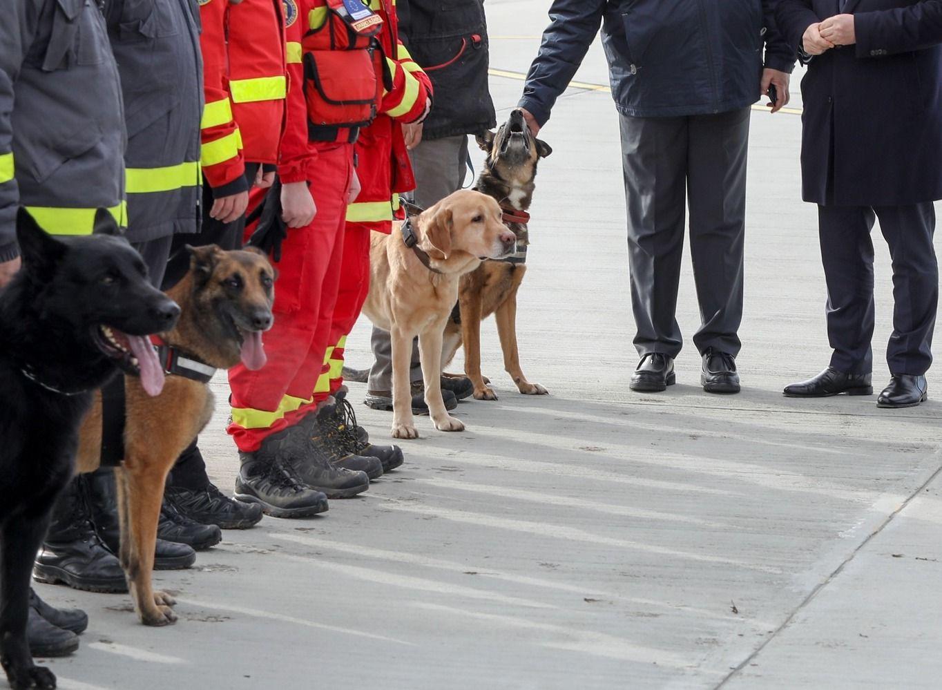 Prima echipă canină din România, înainte de plecarea în misiune. Foto: Facebook Departamentul pentru Situații de Urgență
