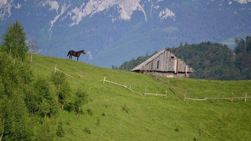 Nu trebuie să pleci peste țări și mări pentru a primi experiențe autentice.  Foto: A.M. 