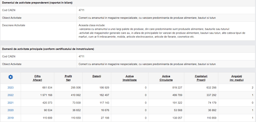 Firma din spatele mentoratului este Electrical Execution SRL. Acestea sunt profiturile generate din 2019 încoace. Captură foto via listafirme.ro