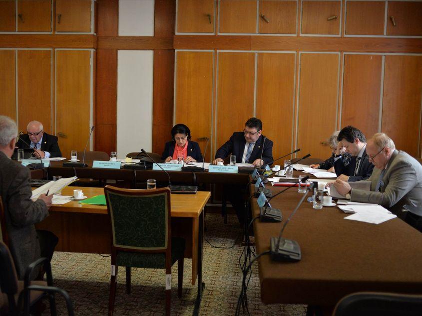 Ședința Comisiei de învățământ din Senat s-a desfășurat într-un format restrâns. Foto: Lucian Muntean