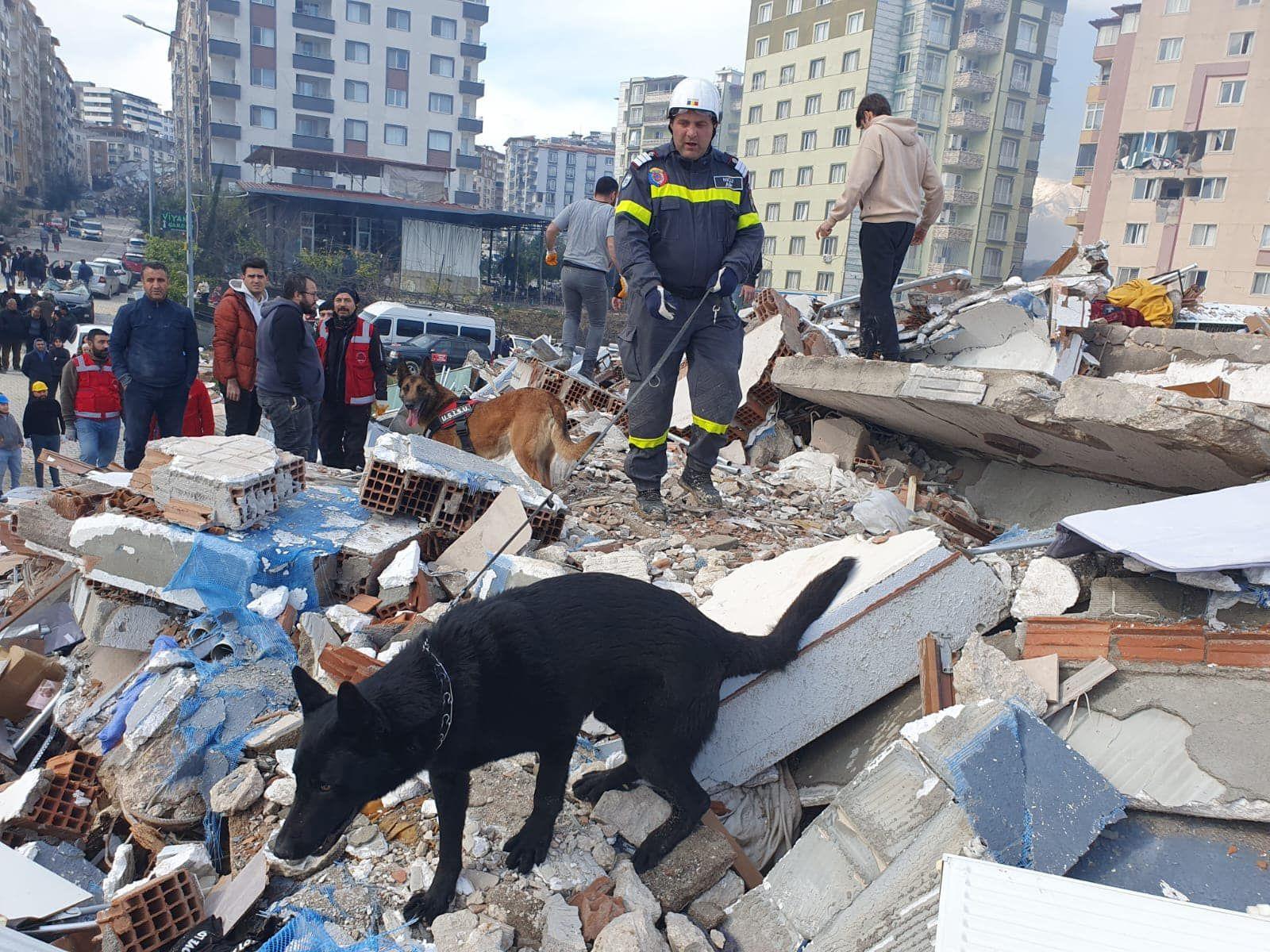 Echipa canină din România, în timpul intervenției. Foto: Facebook Departamentul pentru Situații de Urgență
