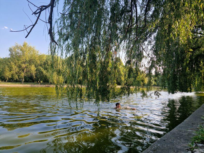 Un puști înoată între Insula Artelor și Insula Câinilor, ambele din lacul Titan. Foto: Răzvan Filip