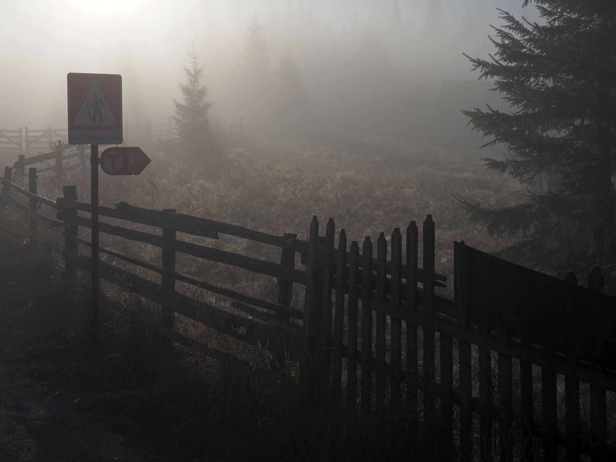 Dimineață devreme cu indicatoare Via Transilvanica, pe drum neumblat