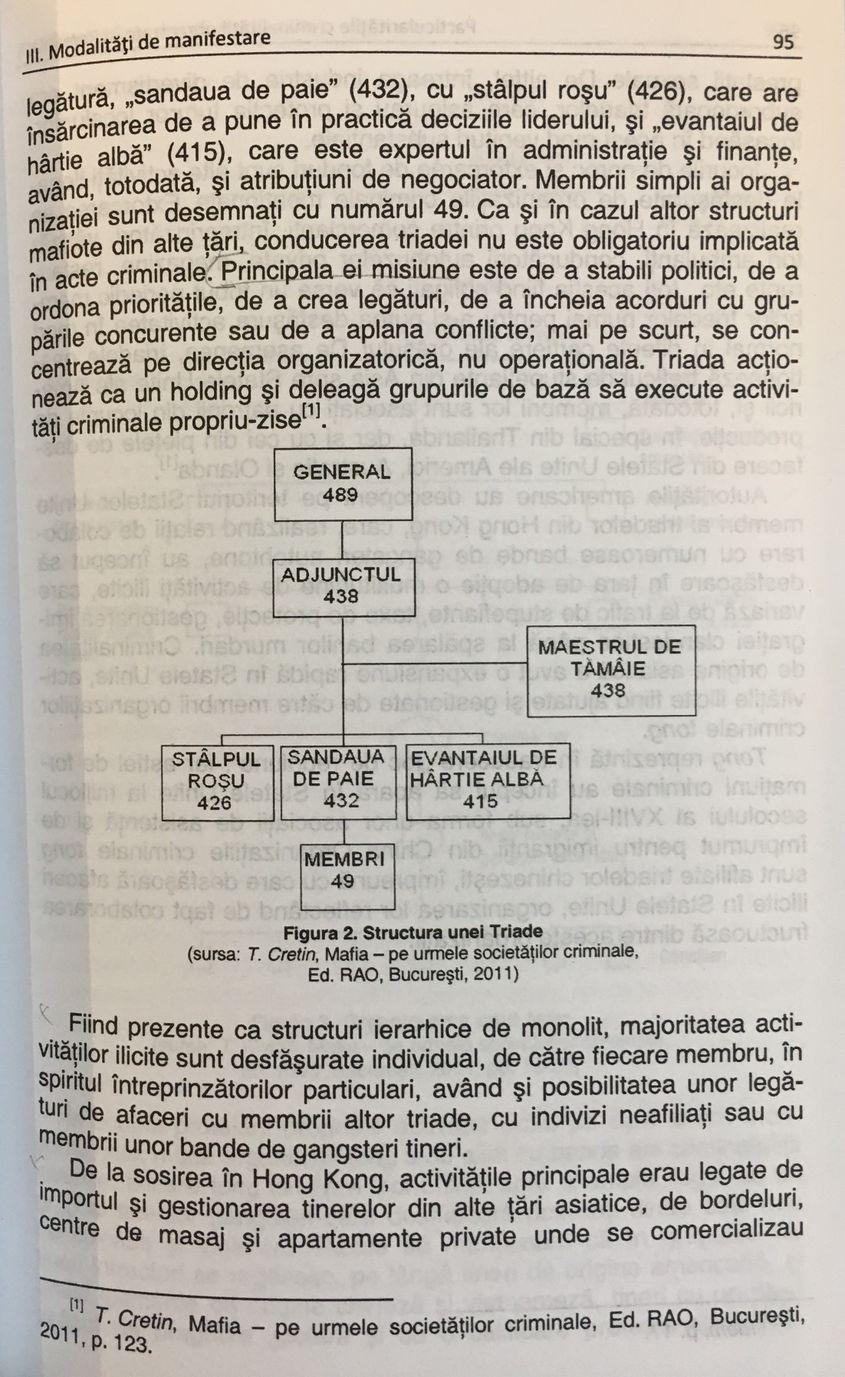 PLAGIAT. Pagina 95 din cartea „Particularitățile criminalității organizate în România”, semnată de Codruț Olaru.