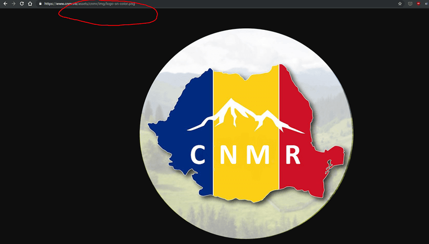 În URL-ul paginii se poate observa că s-a păstrat specificația „logo SRI”