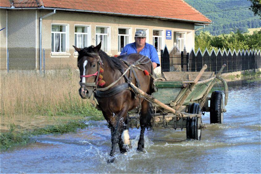 Urmele de pe ziduri arată că apa a trecut de un stat de om.