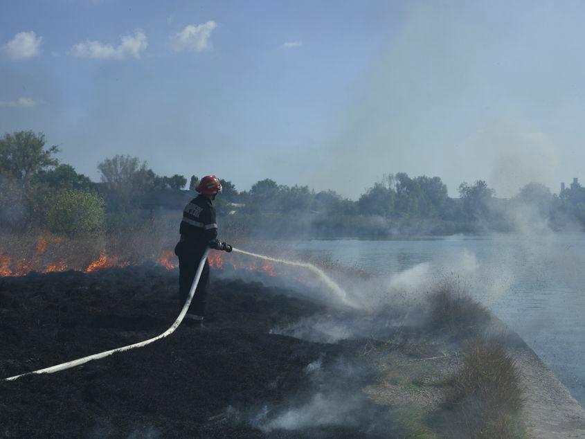 Pompier din cadrul detașamentului Palas Constanta intervine pentru stingerea unui incendiu de vegetație uscata izbucnit in parcul Tabacarie din Constanta, luni, 12 septembrie 2016 Foto: Inquam Photos / Bogdan Chesaru