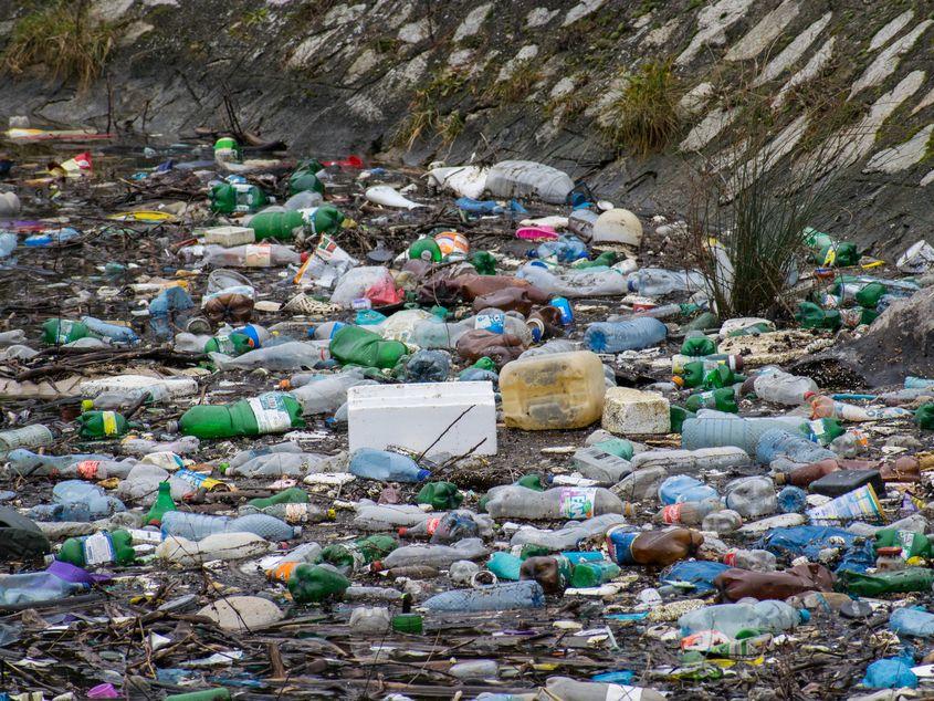 Poluarea Dunării. Plastic și alte reziduuri aruncate în apă. România, Orșova. 19 ianuarie 2020 © Bogdan6179 | Dreamstime.com
