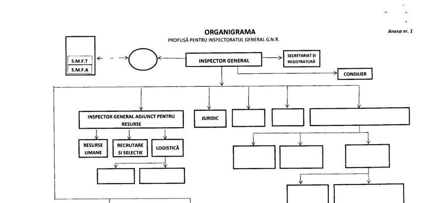 Organigrama Inspectoratului General al Gărzii Naționale. Foto: Cdep.ro