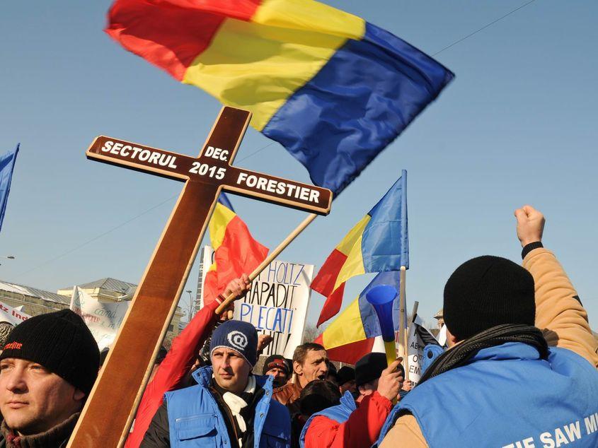 Forestierii spun că, dacă Guvernul nu intervine, zeci de mii de oameni îşi vor pierde locurile de muncă. Fotografii: Lucian Muntean