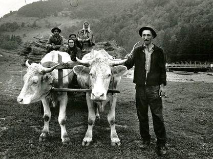 The Romanians. Aventura unui fotograf american în România anilor '70