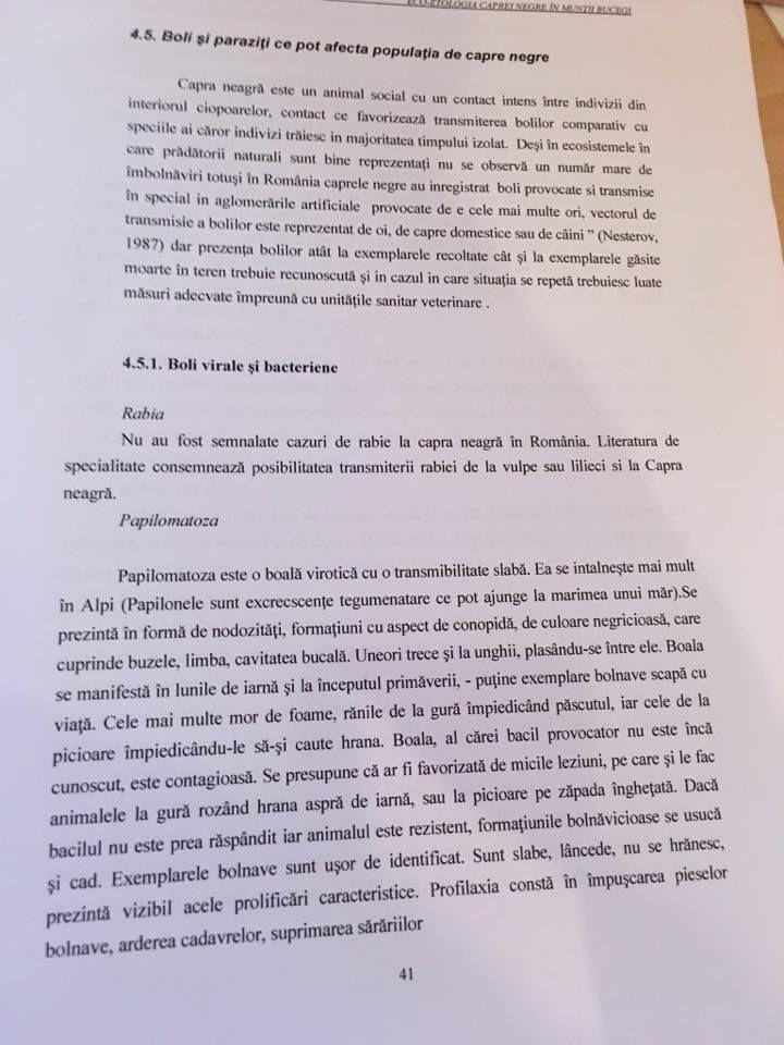 Pagina 41 din teza „finală”.