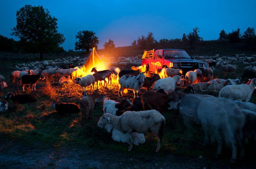 Imagine realizată alături de o familie de ciobani din Grecia.