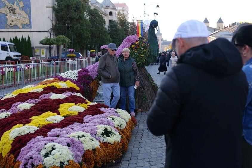 Păunul de la Iași făcut din flori și scoarță de copac, piesa de rezistență a pelerinajului. foto: Dana Coțovanu / PressOne