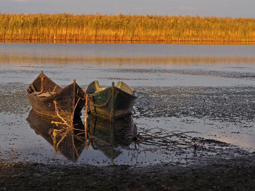 Fotografiile îi aparțin autorului.