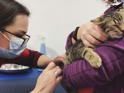 Despre oameni și alte animale: realitatea din spatele profesiei de medic veterinar