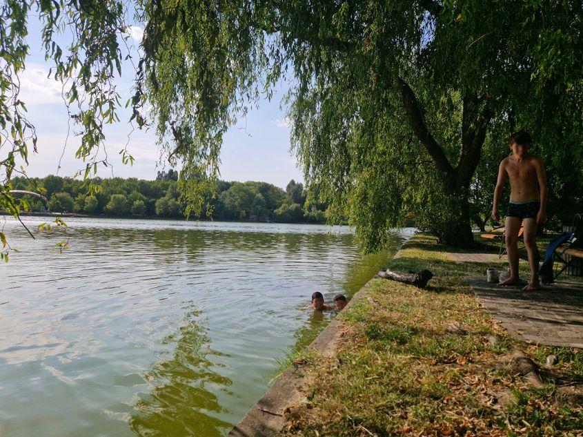 „Domnu', ne ajutați să-l scoatem din apă?”. Foto: Răzvan Filip