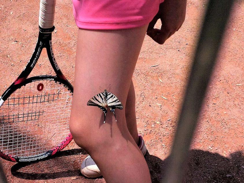 De jucătoarea de tenis Mara Alexandra Suditu s-a lipit, pe 13 iulie, un fluture. Foto: Carmen Constantin Suditu