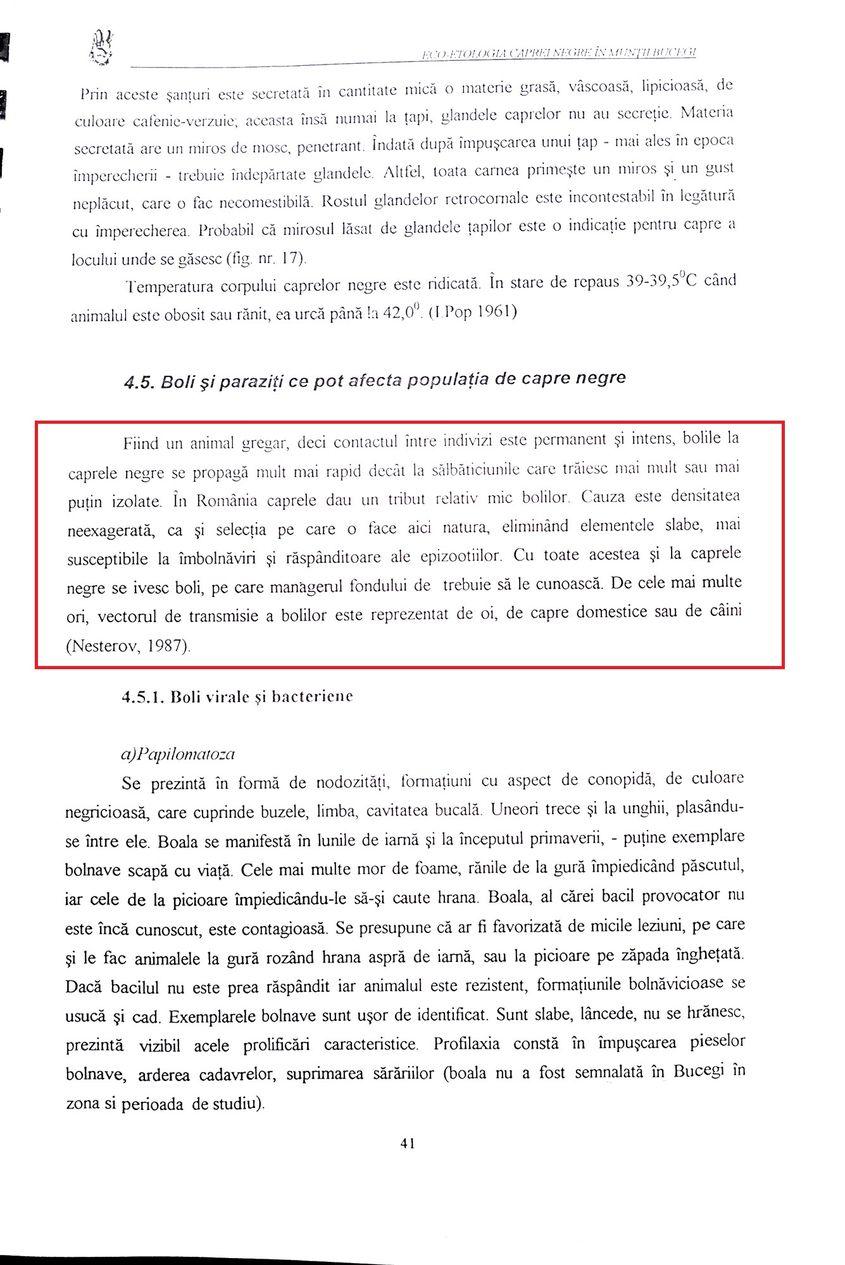 Pagina 41 din lucrarea „incipientă”.