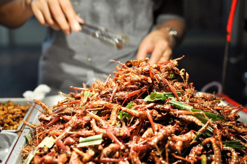 Pe străzile Thailandei, lăcustele sunt vândute ca fast food. Foto © <a target="_blank" href="https://www.dreamstime.com/kspr84_info">Lukasz Kasperek</a> | <a target="_blank" href="https://www.dreamstime.com/photos-images/eating-insects.html">Dreamstime.com</a>