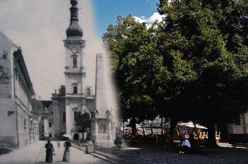 Piața Muzeului a primit numele după Muzeul de Istorie al Transilvaniei, care se află în capătul de vest. În Piață se află Obeliscul Carolina. Monumentul a fost ridicat în cinstea vizitei făcute în 1817 de împărăteasa Carolina Augusta și de împăratul Francisc I.